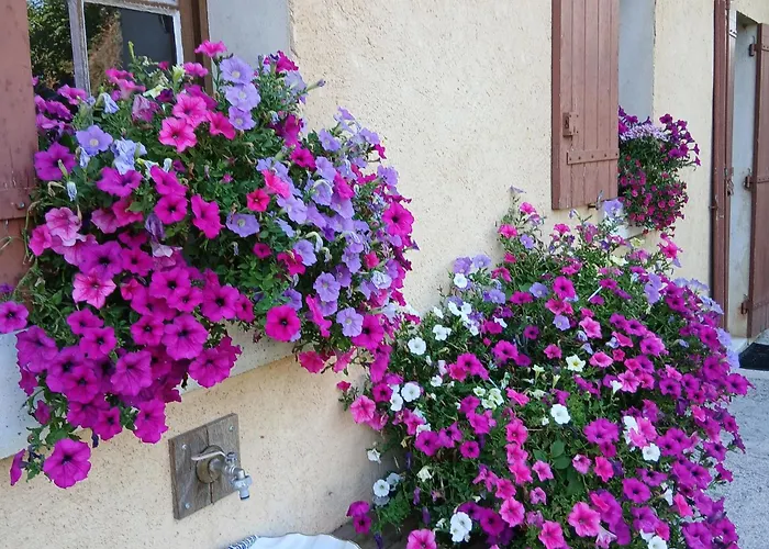 Σπίτι διακοπών Du Chateau De La Renaudie